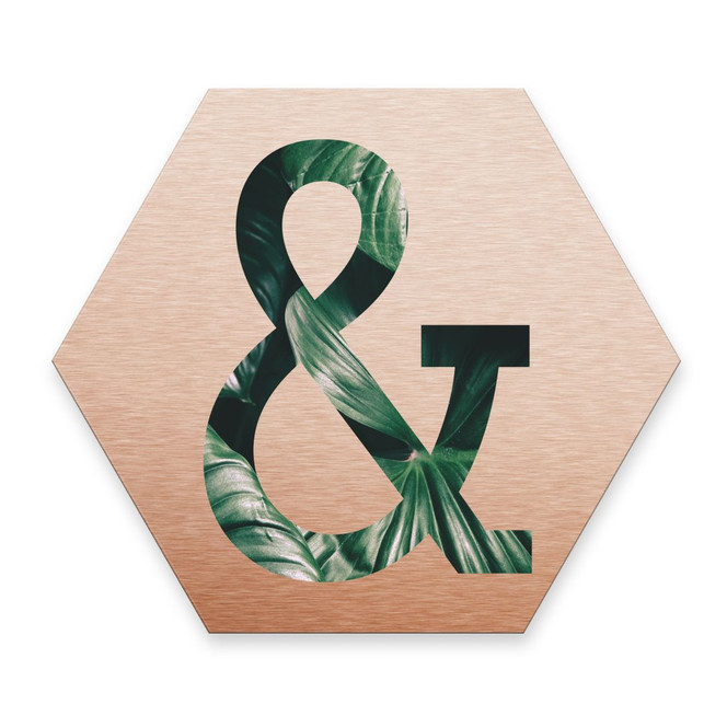 Hexagon - Alu-Dibond Kupfereffekt - Urban Jungle Et-Zeichen 02