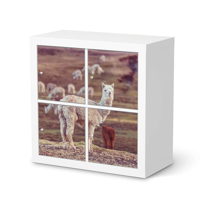 Möbelfolie IKEA Expedit Regal 4 Türen - Pako- Bild 1