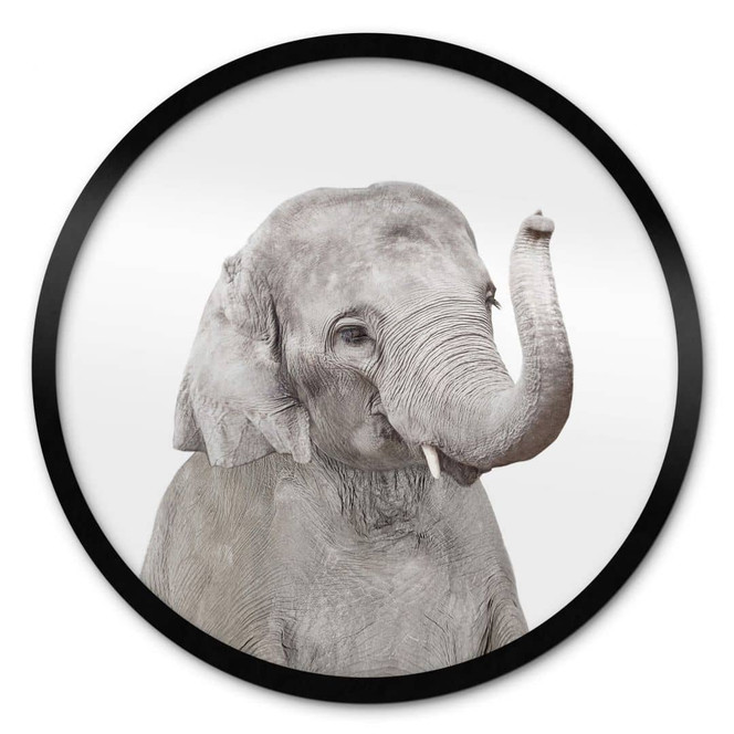 Poster Sisi & Seb - Baby Elefant - Rund