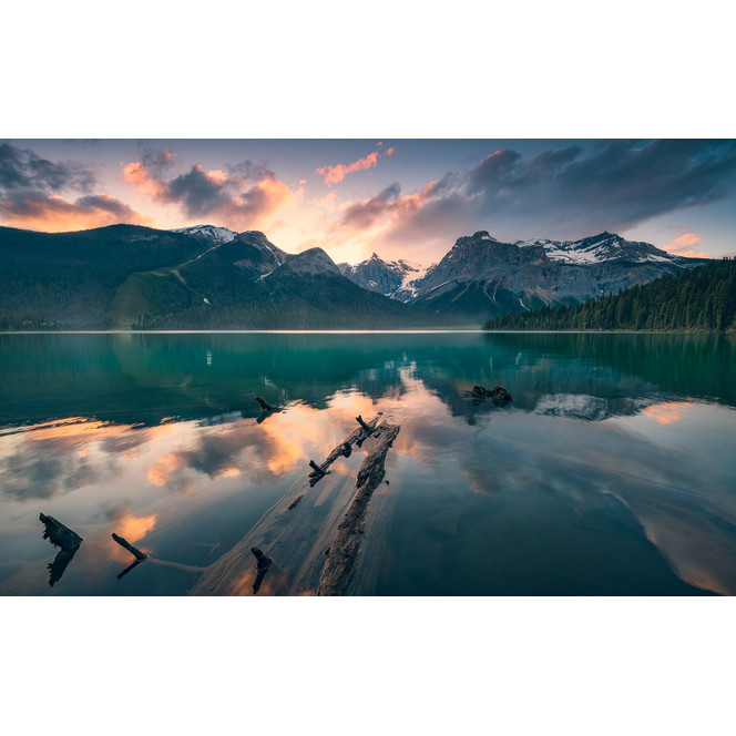 Fototapete Burning Emerald