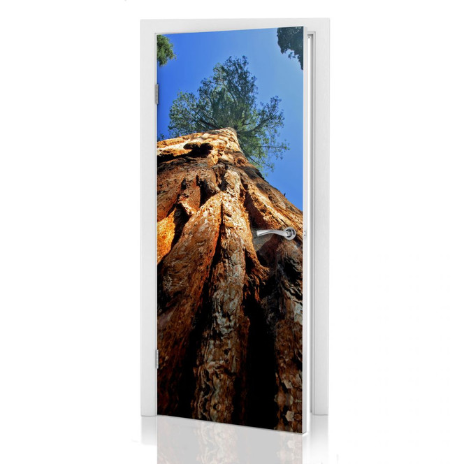 Türdeko Mammutbaum - Bild 1