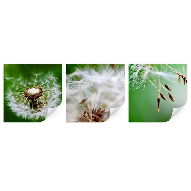 Wallprint Fliegerschirmchen auf Reise (3-teilig)