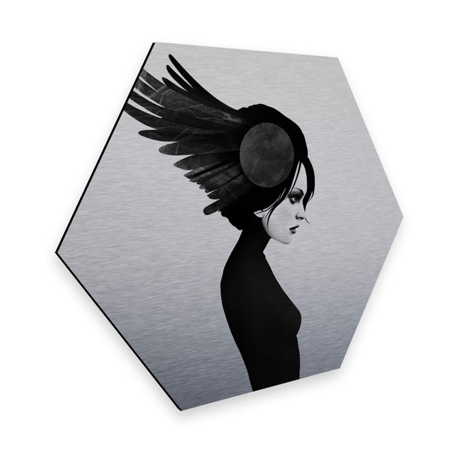 Hexagon - Alu-Dibond-Silbereffekt Ireland - Amy - Flügel