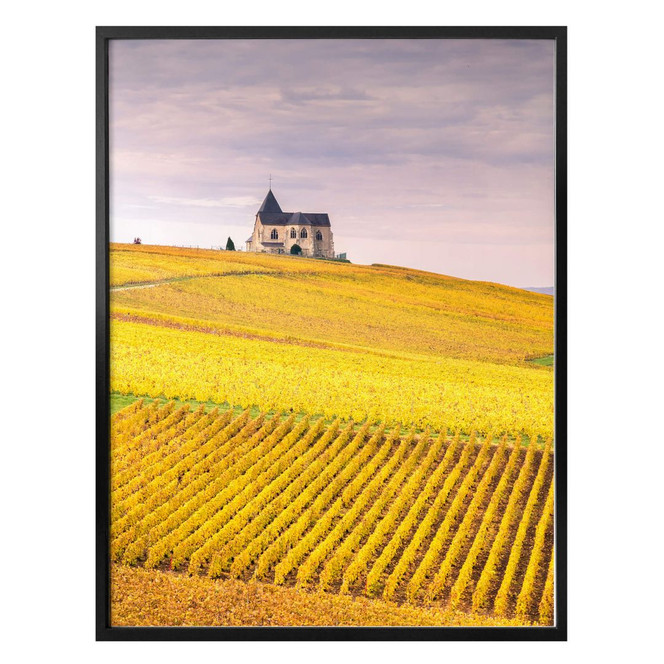 Poster Colombo - Weinfelder in der Champagne