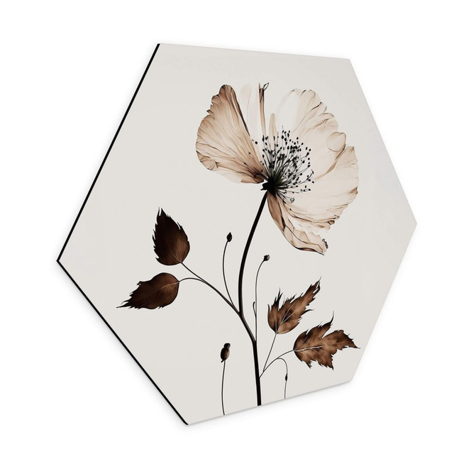 Hexagon Wandbild - Trockenblüte in Creme - Alu-Dibond - Treechild