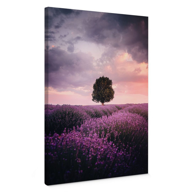 Leinwandbild Lila Lavendelfelder bei Sonnenuntergang - Cevik