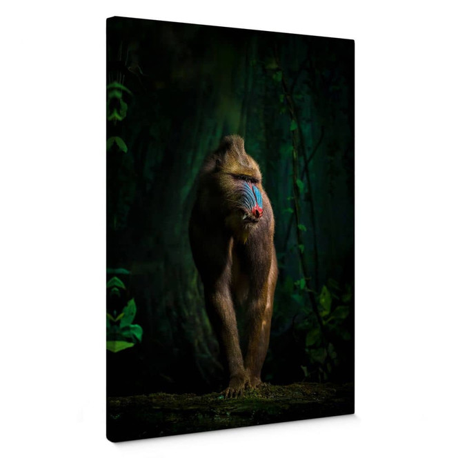 Leinwandbild Yunta - Im Dschungel