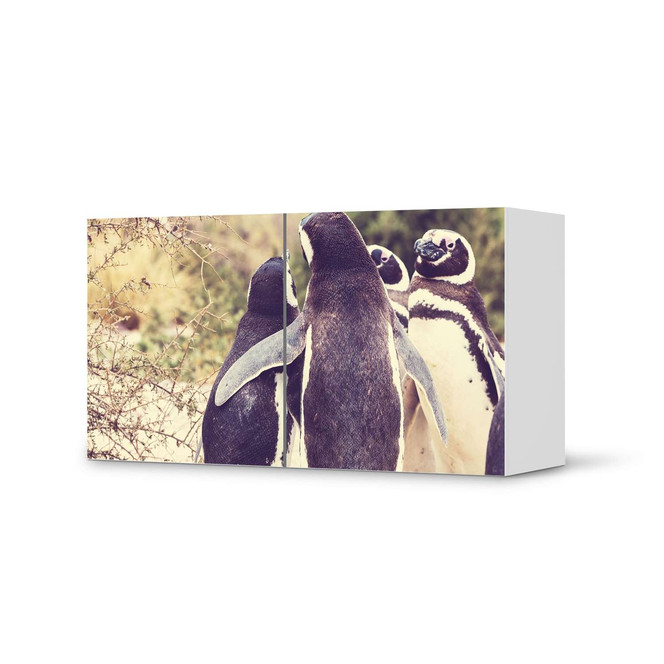 Folie IKEA Besta Regal 2 Türen (quer) - Pingu Friendship- Bild 1