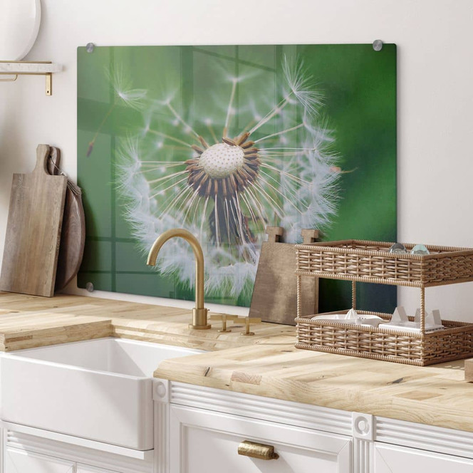 Spritzschutz Pusteblume im Wind