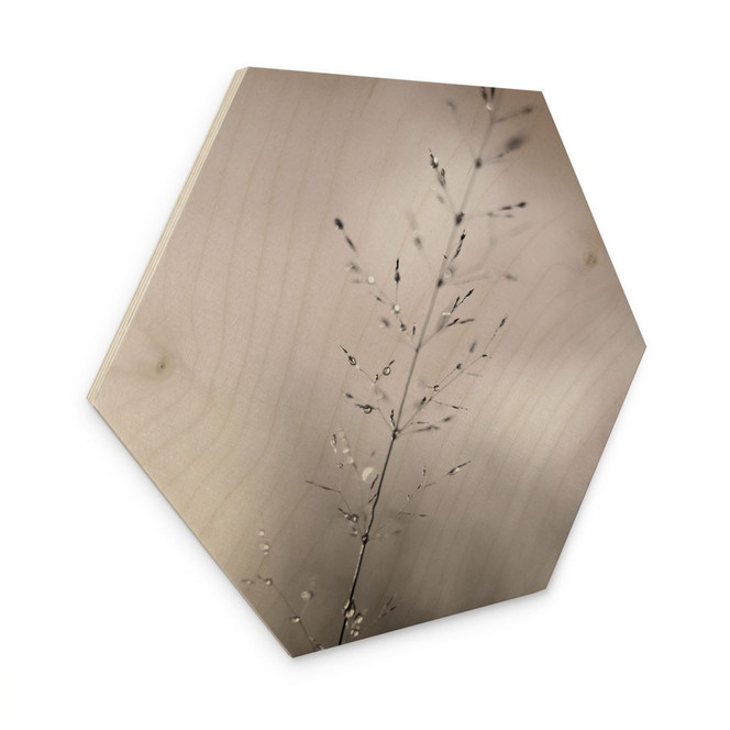 Hexagon Holzbild Grashalm mit Tautropfen - Sillen