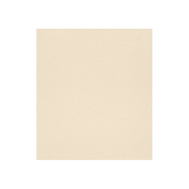 Rasch Mustertapete Vliestapete Black Forest 2016 Uni beige