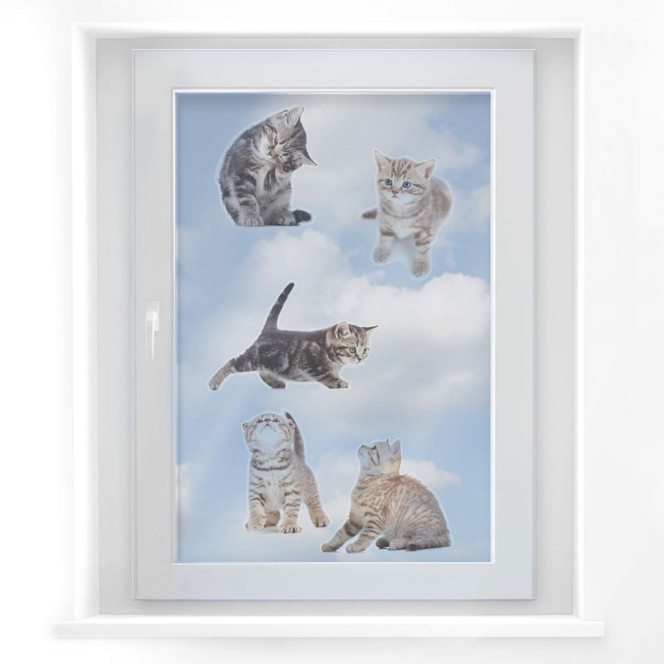 Fensterbild Real baby cats Set 03