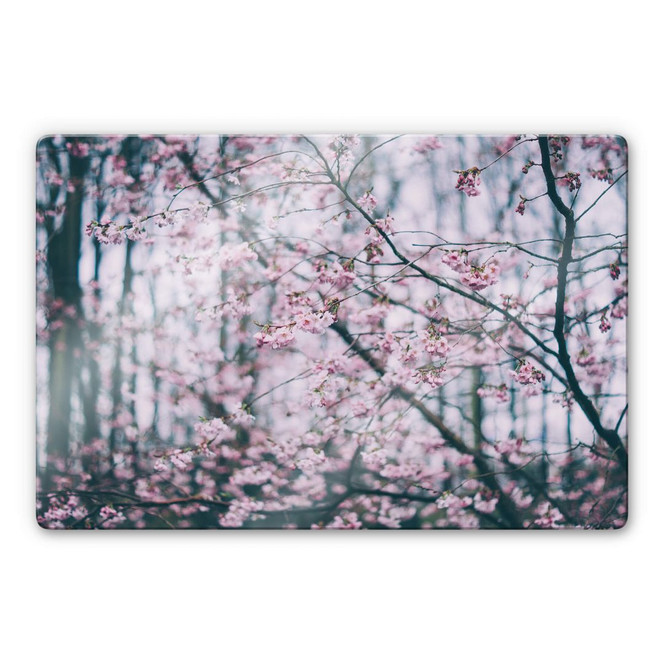 Glasbild Pink Flower Dream 03