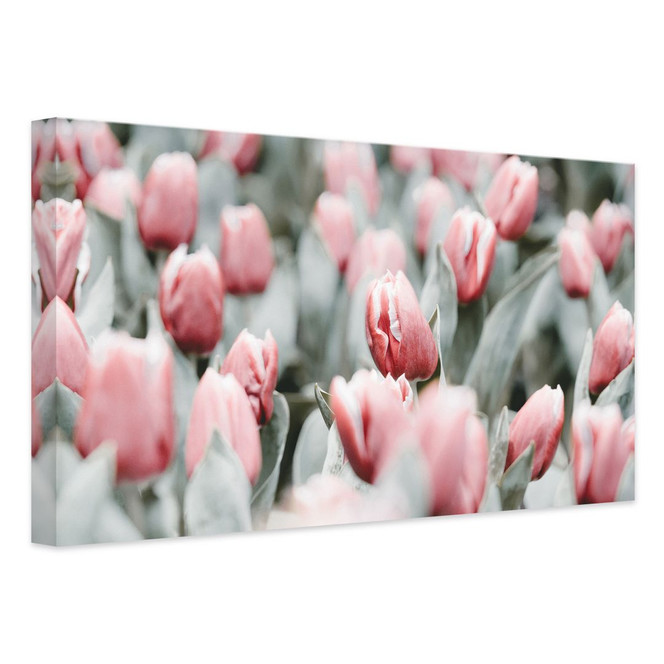 Leinwandbild Tulips