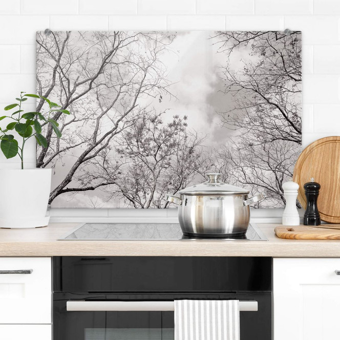 Spritzschutz Baumkronen im Himmel