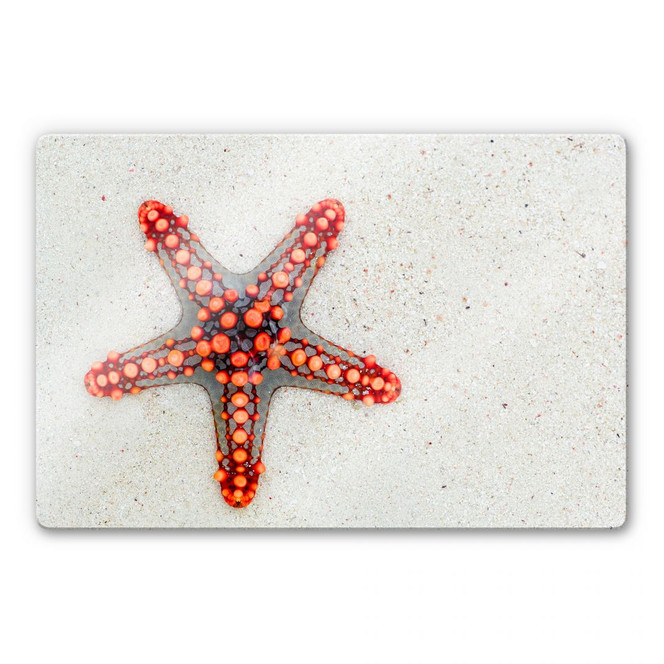 Glasbild Leuchtender Seestern