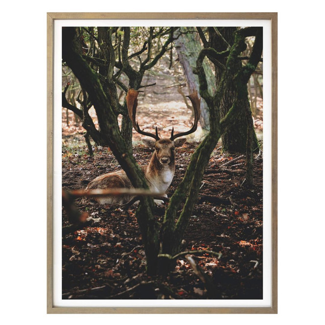 Poster Pause im Wald