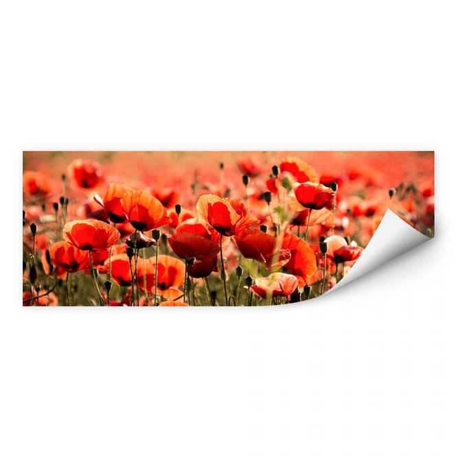 Wallprint Poppy Field - Panorama