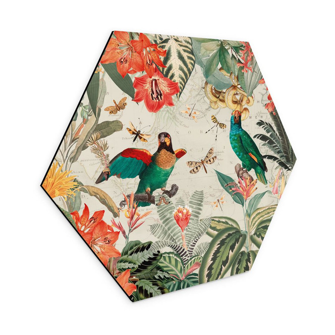 Hexagon Wandbild Exotischer Dschungel mit Papageien - Alu-Dibond - UN Designs