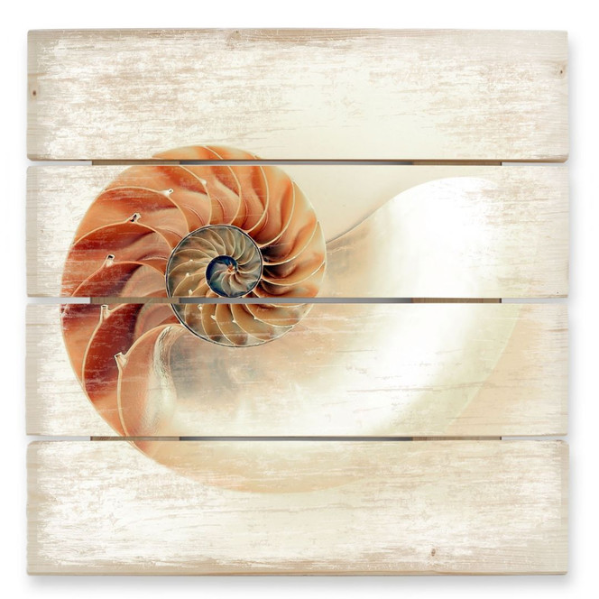 Holzbild Nautilus - 40 x 41.5 cm