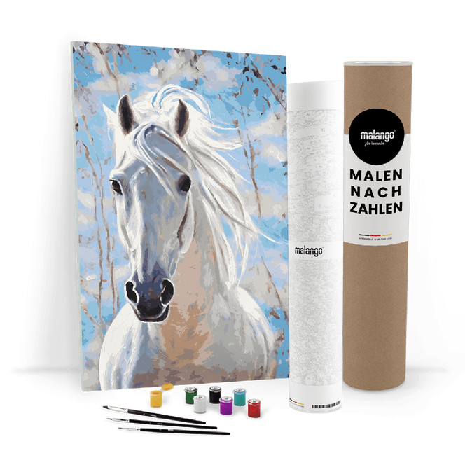Malen nach Zahlen Leinwandbild - Pferd Piedro Himmel