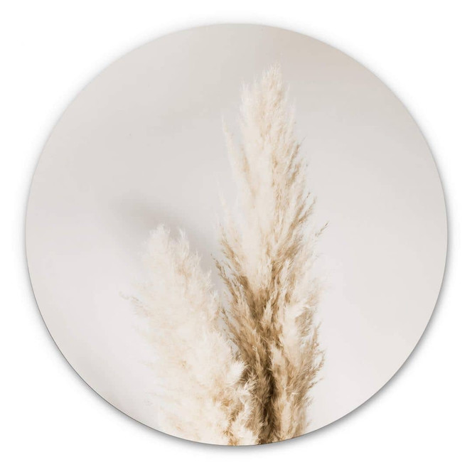 Alu-Dibond 1X Studio - Gebundenes Pampasgras - Rund