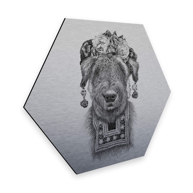 Hexagon - Alu-Dibond Silbereffekt Kools - Suusi Kahlo