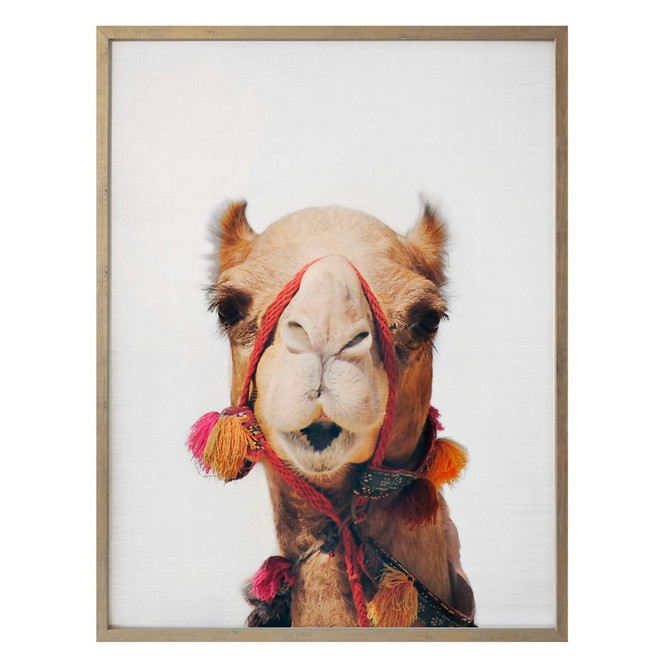 Poster Sisi & Seb - Das Kamel