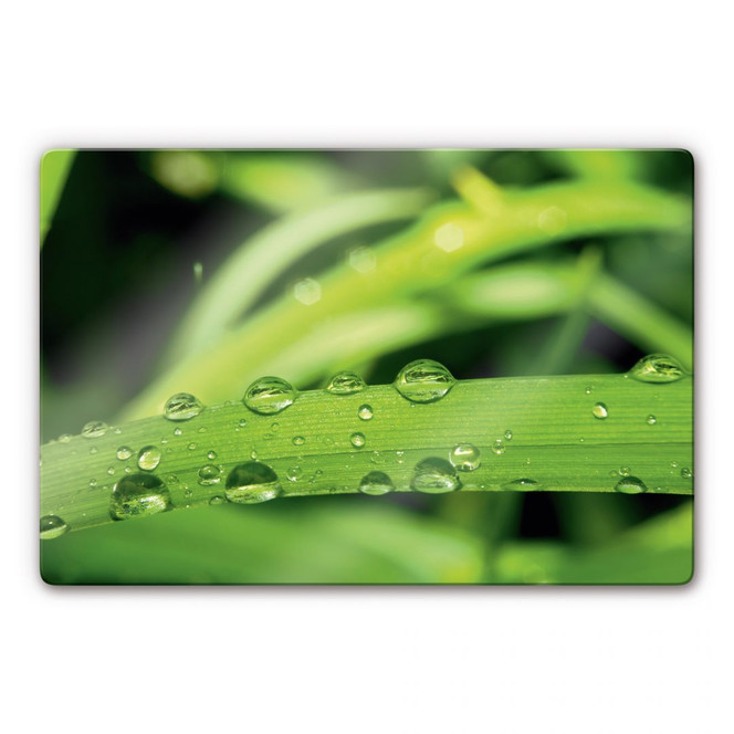 Glasbild Natur 5