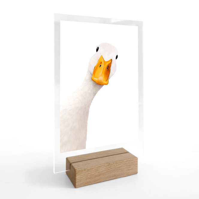 Tischaufsteller Neugierige Gans - Korenkova