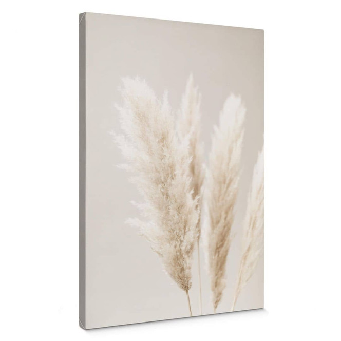 Leinwandbild 1X Studio - Pampasgras