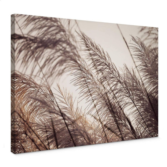 Leinwandbild Gräser in Pastell