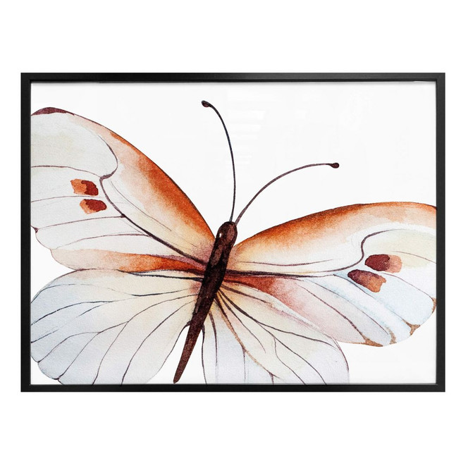 Poster Kvilis - Schmetterling 04