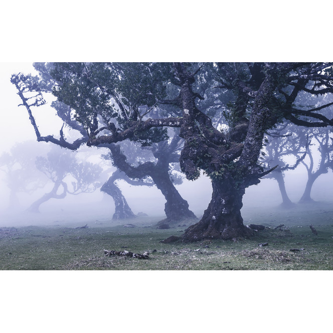 Fototapete Ghost Line