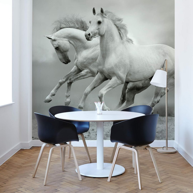 Fototapete Pferde im Galopp - 336x260cm - Bild 1