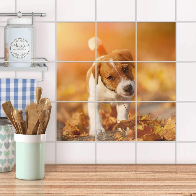 Klebefliesen - Jack the Puppy - 9er Set