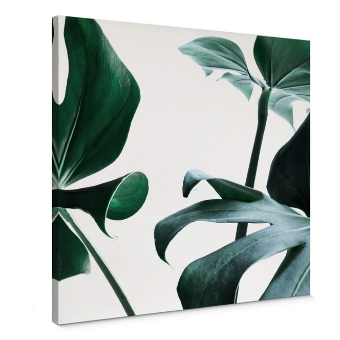 Leinwandbild Urban Jungle 03 - Monstera Deliciosa- Quadratisch