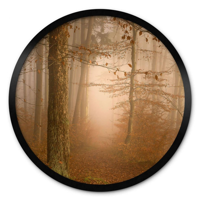 Poster Dunst und Licht im herbstlichen Wald - Maier - Rund