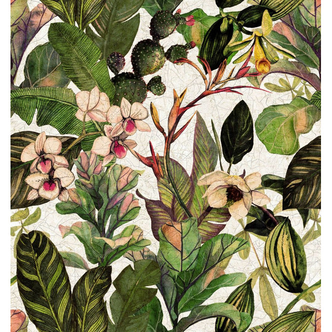 Fototapete Wandtapete mit Motiv Exotischer Dschungel Mix mit Kakteen, Orchideen 3.4 x 3.18 m