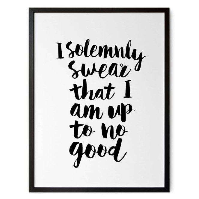 Spruch Poster I solemnly swear - Wilson