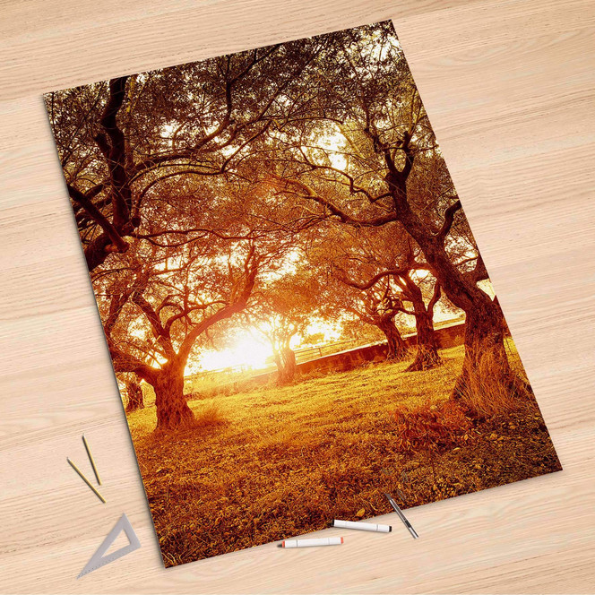 Folienbogen (100x150cm) - Tree Sunlight- Bild 1