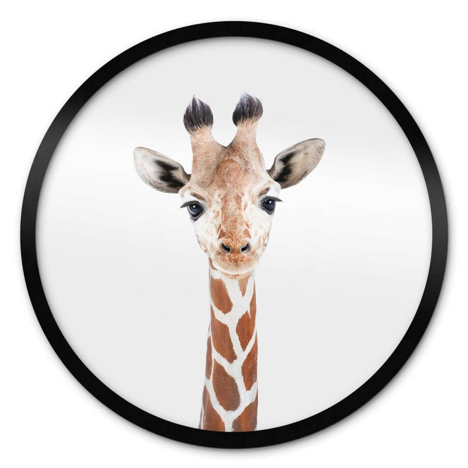 Poster Sisi & Seb - Baby Giraffe - Rund
