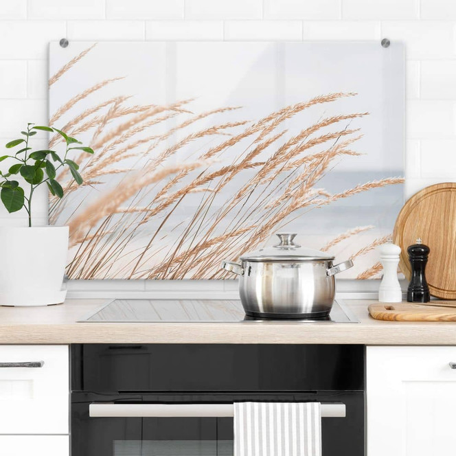 Spritzschutz Dünengras