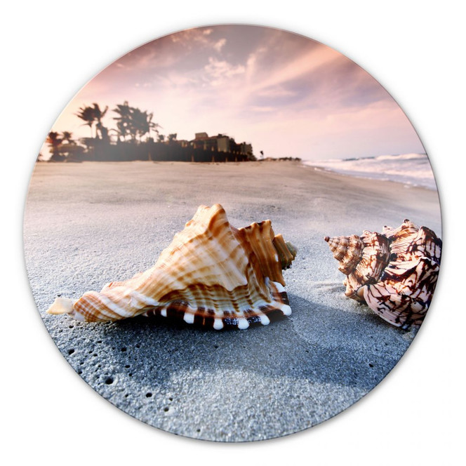 Glasbild Muschelparadies - rund