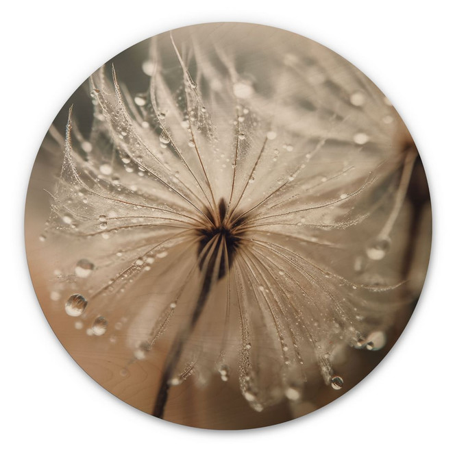 Holzbild Pusteblume in Morgentau - Treechild - Rund - Bild - 1