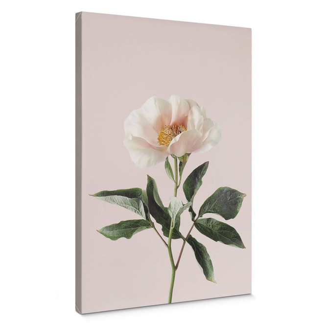 Leinwandbild Sisi & Seb - Zart