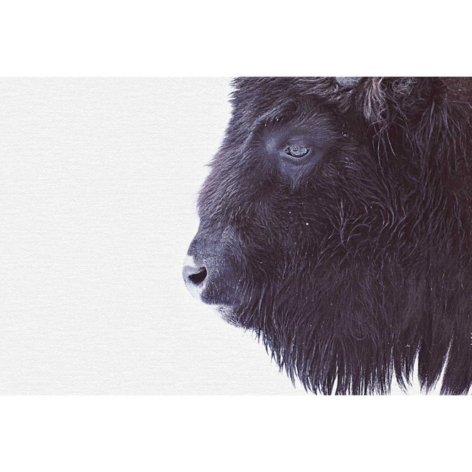 Livingwalls Fototapete ARTist Black Buffalo mit Bison schwarz, weiss - Bild 1