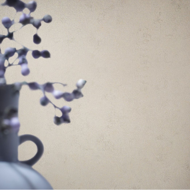 Vliestapete in moderner Putzoptik grau, beige Struktur