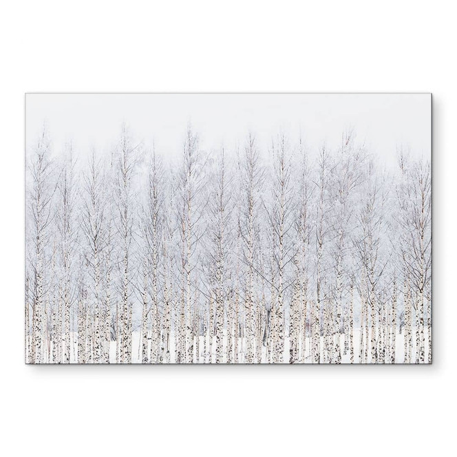 Wandbild Birkenwald im Winter - EMELIEmaria - Alu-Dibond