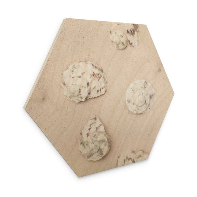 Hexagon - Holz 1X Studio - Am Strand
